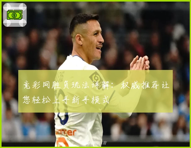 竞彩网胜负玩法详解：权威推荐让您轻松上手新手模式