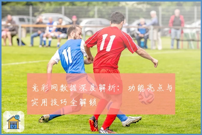 竞彩网数据深度解析：功能亮点与实用技巧全解锁