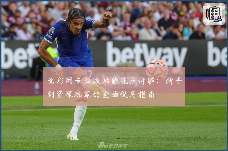 竞彩网专业版功能亮点详解：新手到资深玩家的全面使用指南