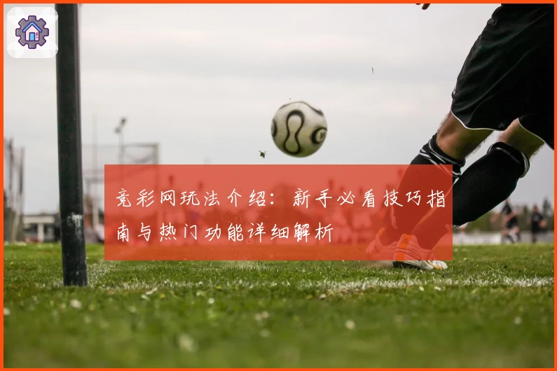 竞彩网玩法介绍：新手必看技巧指南与热门功能详细解析
